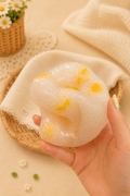 🥭🍚 Mango Rice Pudding Squishy