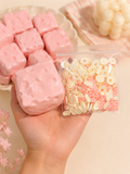 🩷 Pink and Blue Crunchy Cheese Squishy