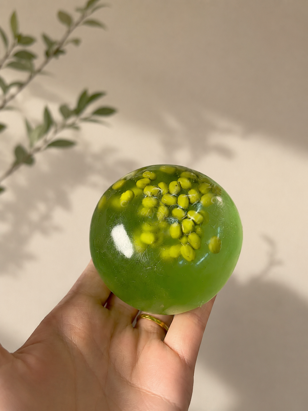 🟢 Green Bean Jelly Squishy™