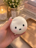 🤍 Miffy Soft Crunch